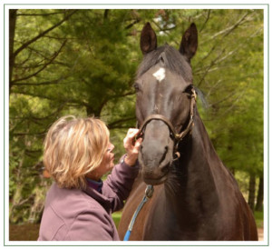 Equine Facilitated Wellness and Therapy 