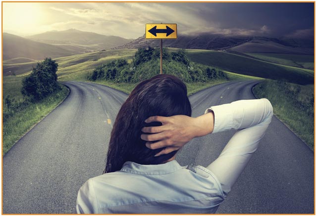 Kitcher development - Biases in decision making